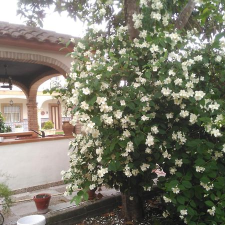 فيلا Vivienda Turistica Rural Mari Carmen بايثا المظهر الخارجي الصورة